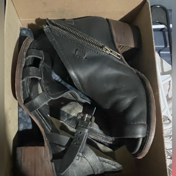 Calico - Picture 3 of 5